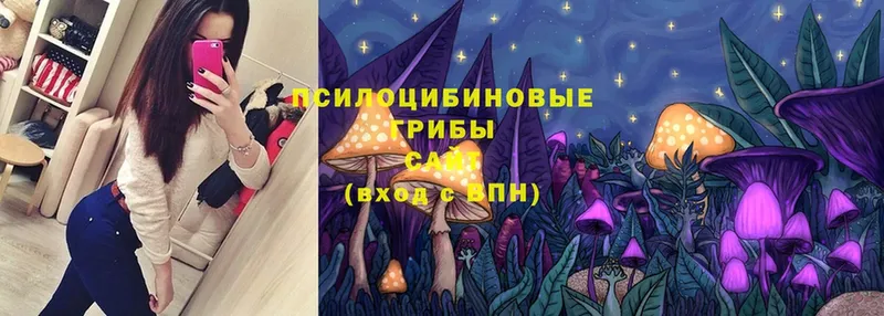 Галлюциногенные грибы Psilocybe Уржум